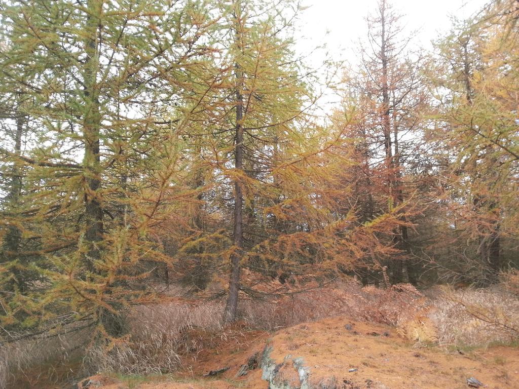 Готель Sneznik Екстер'єр фото