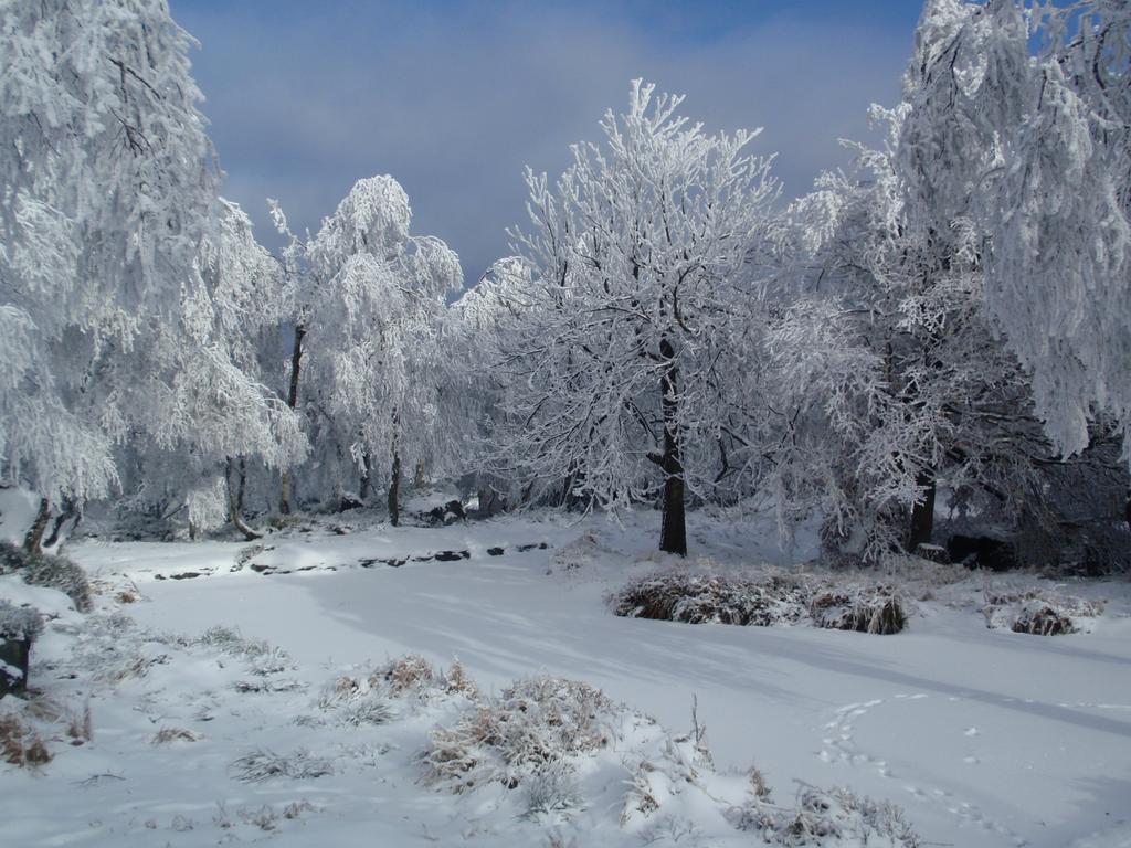 Готель Sneznik Екстер'єр фото